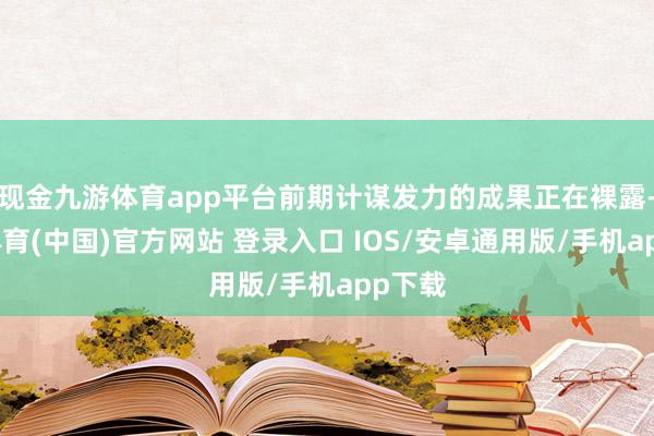 现金九游体育app平台前期计谋发力的成果正在裸露-九游体育(中国)官方网站 登录入口 IOS/安卓通用版/手机app下载